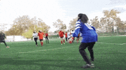 new for you GIF by Hinds