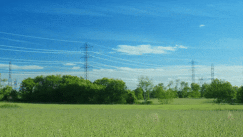 Music Video Rapper GIF by Lil Tecca