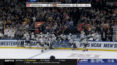 Stanley Cup Celebration GIF by TheDreamTeam 