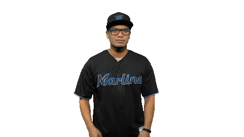 fun baseball Sticker by Miami Marlins