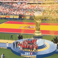 World Cup 2026 Celebration GIF by TRT
