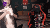 Pqueen GIF