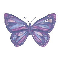 Butterfly Wings Sticker