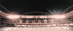 botafogo de futebol e regatas GIF by Botafogo