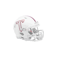 College Football Sticker by Riddell Sports