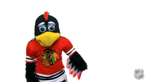 Chicago Blackhawks Sport GIF by NHL