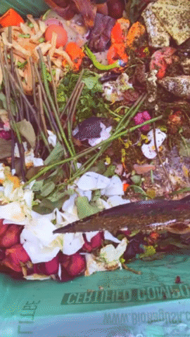 Flowers Diy GIF by Common Ground Compost