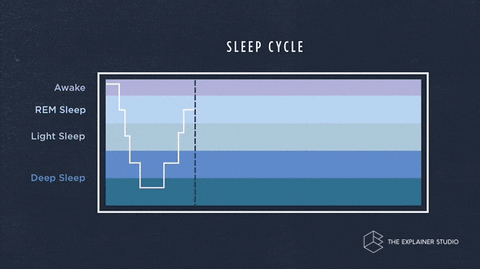 Animation Sleep GIF by The Explainer Studio