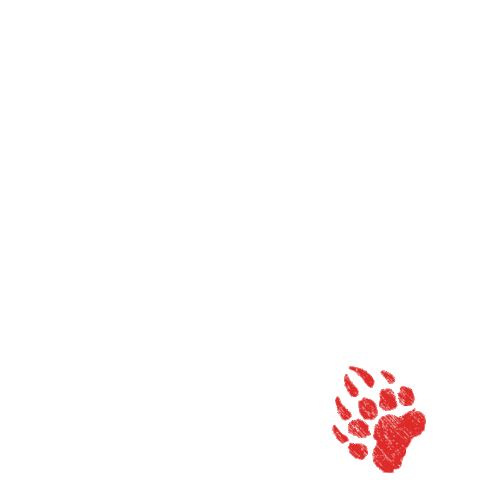 Beer Sticker by URSUS ROMANIA