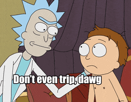 Rick And Morty Cartoon GIF