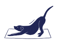 Downward Dog Sticker by Huisdierenschool