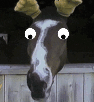 horse GIF
