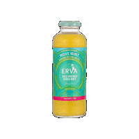 Yerba Mate Cheers Sticker by Erva Brew Co.