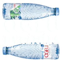 Sticker by Ogeu Pyrenees