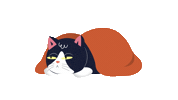 lofielgor music cat sleep chill Sticker