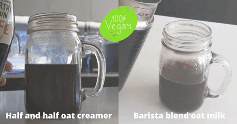 brighdereed giphyupload GIF