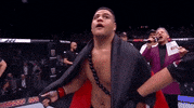 tai tuivasa GIF by UFC