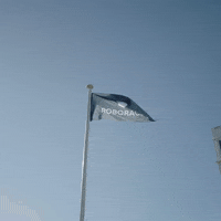 Roborace ai artificial intelligence electric car autonomous GIF