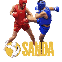 China Fight Sticker by Champion Training Sanda Martial Art