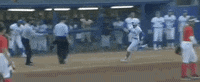 Virginia Tech Softball GIF by NCAA Championships