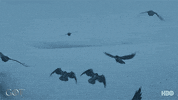 gameofthrones episode 5 game of thrones hbo season 7 GIF