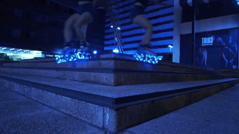 Roller Rollerblading GIF