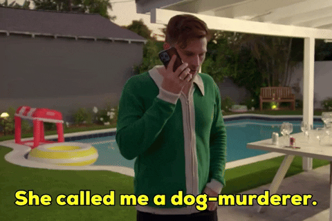 Okay_Decision she called me a dog-murderer GIF