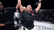 ufc 205 GIF