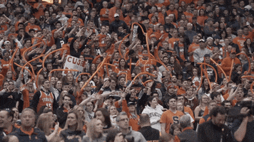 cuse orange su dome syracuse GIF