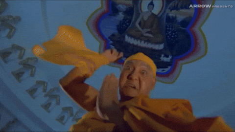 Martial Arts Point GIF by Arrow Video