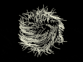 animation loop GIF by gasta