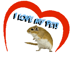 Guinea Pig Love Sticker