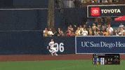 San Diego Padres Sport GIF by MLB