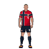 World Cup Football Sticker by Panini America