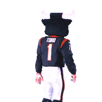 Football Nfl Sticker by Houston Texans