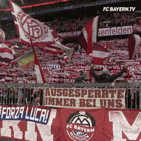 party love GIF by FC Bayern Munich