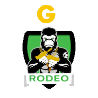 Soccer Goal Sticker by TJ SIGMA Rodeo