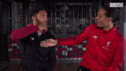 premier league lol GIF by Liverpool FC