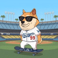 Shiba Inu Dog GIF by Doge Pound