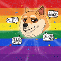 Proud Shiba Inu GIF by Doge Pound