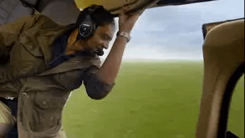 Wildlife Flying GIF by PBS