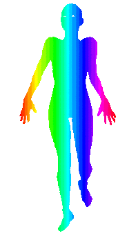 rainbow walking STICKER