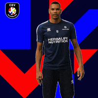 EuroVolley2019Fr volleyball eurovolley ffvolley edfvolley GIF