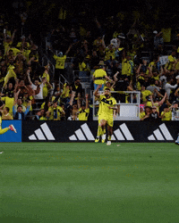Major League Soccer GIF by Nashville SC