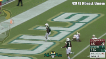 Usf Football GIF by SoFloBulls