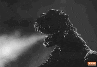 King Of The Monsters Godzilla GIF by Turner Classic Movies