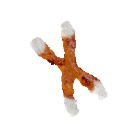 Biology Aging Sticker by NOVOS