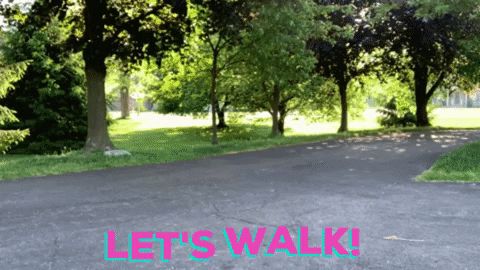 99WALKS giphygifmaker fitness walking walk GIF