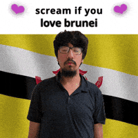 Brunei Flag GIF