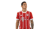 world cup wtf Sticker by Bundesliga